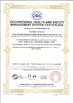 중국 Hebei Double Goats Grinding Wheel Manufacturing Co., Ltd 인증